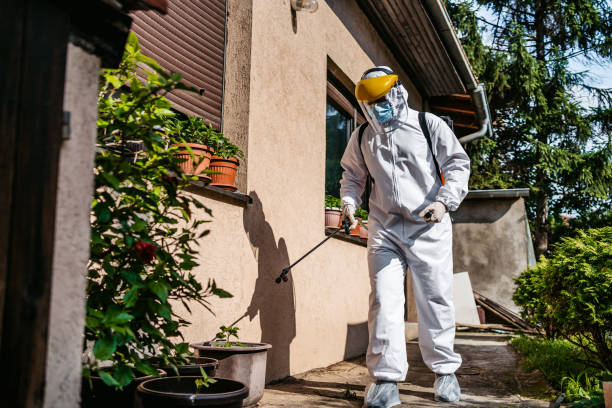 Reliable Plantsville, CT Pest Control Solutions