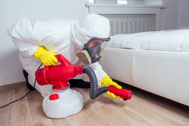 Best Exterminator Services  in Plantsville, CT