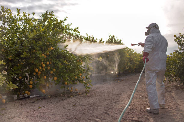 Best Cockroach Control Services  in Plantsville, CT