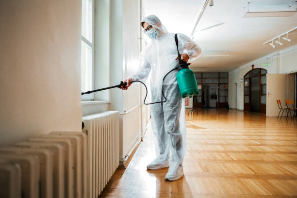 Best Local Pest Control Services  in Plantsville, CT
