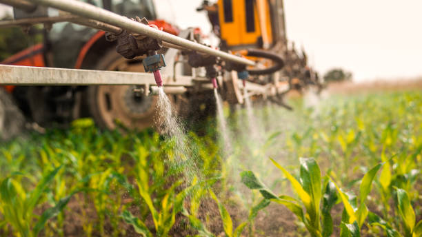Reliable Plantsville, CT Pest Control Solutions